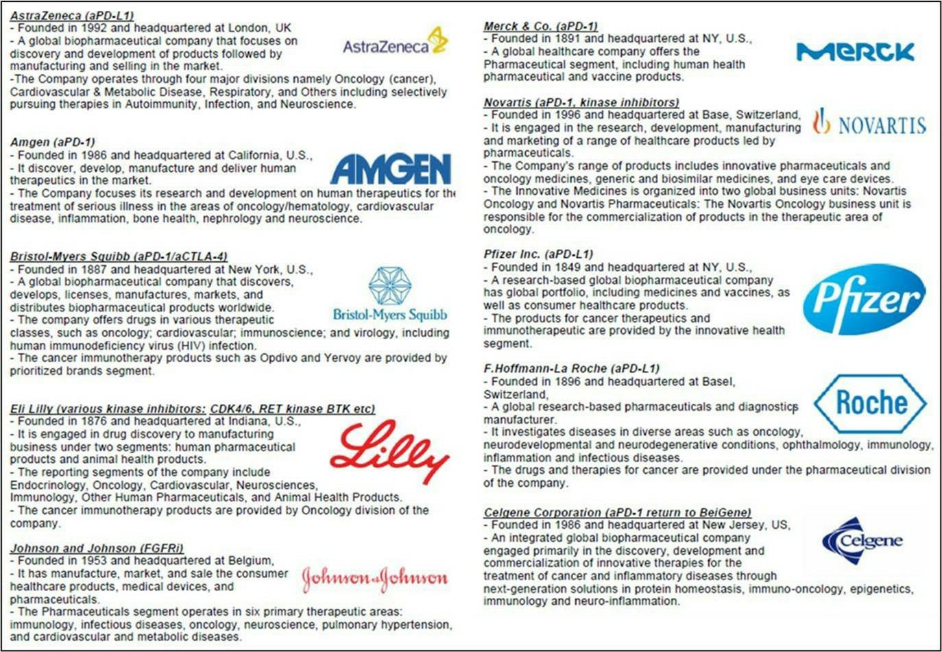 이미지: [면역관문억제제 보유 주요 제약사 요약]