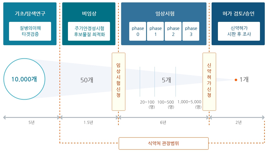 이미지: 신약 개발 과정