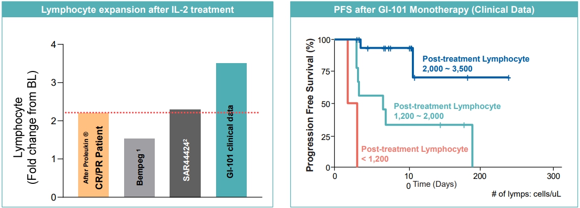 이미지: GI-101 투약 후 림프구 증식 데이터