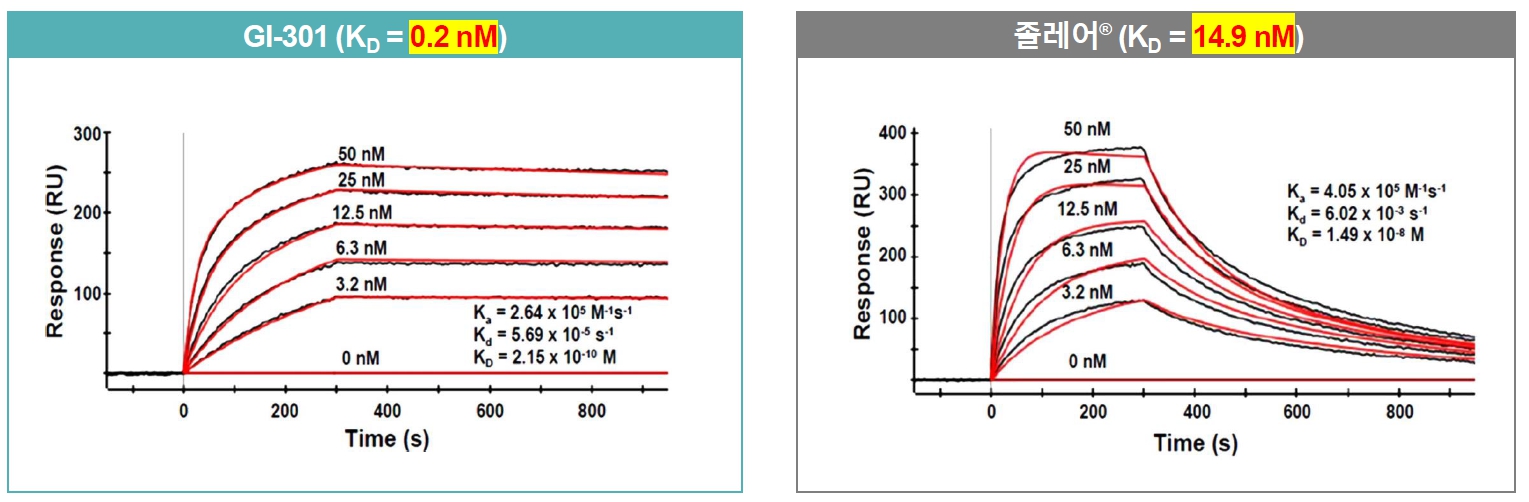 이미지: GI-301과 졸레어의 IgE 결합력 비교