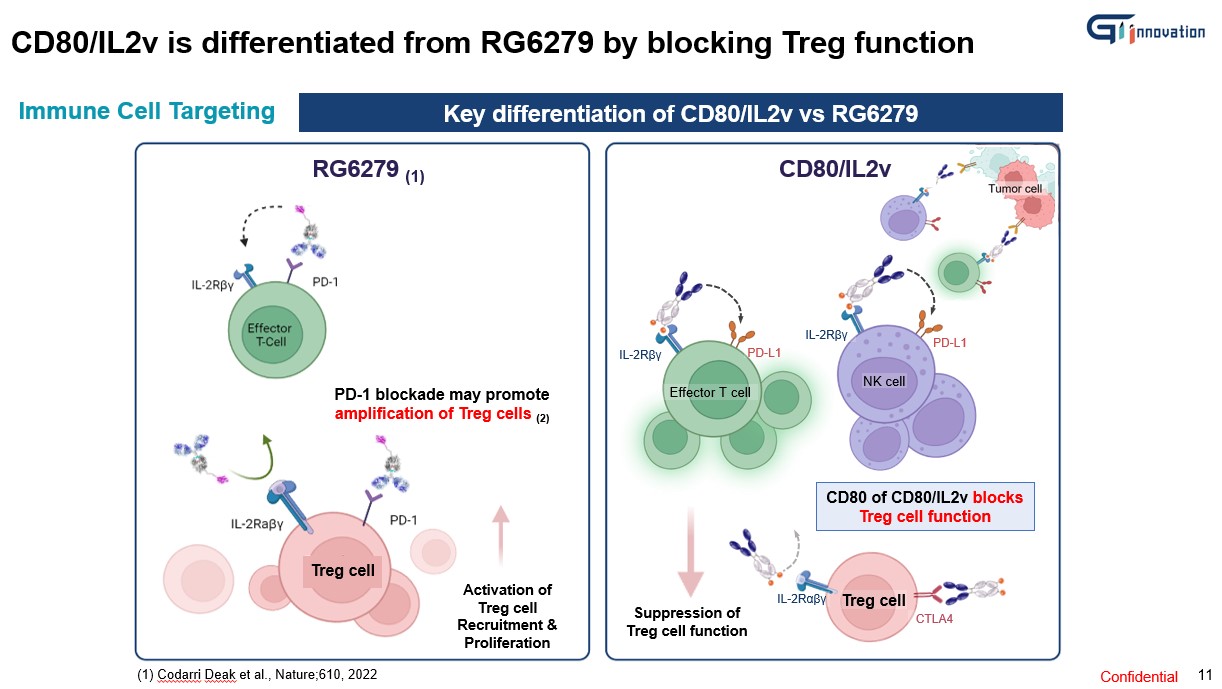 이미지: RG6279와 GI-101, 102의 기전 비교