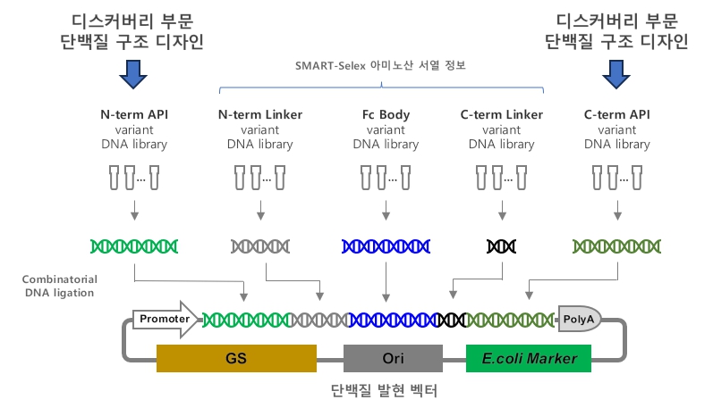 이미지: SMART-cLego™를 통한 발현벡터 제조 모식도