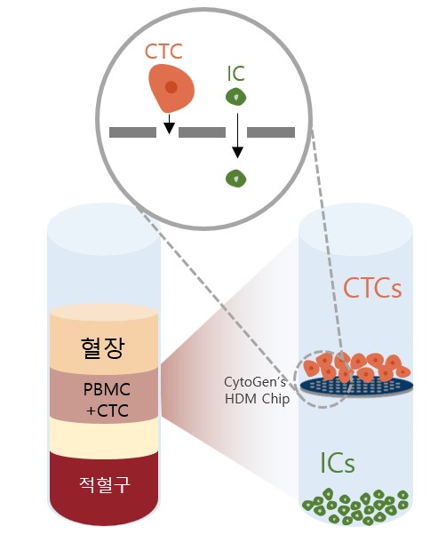 이미지: 당사 HDM chip을 이용한 ctc 분리과정