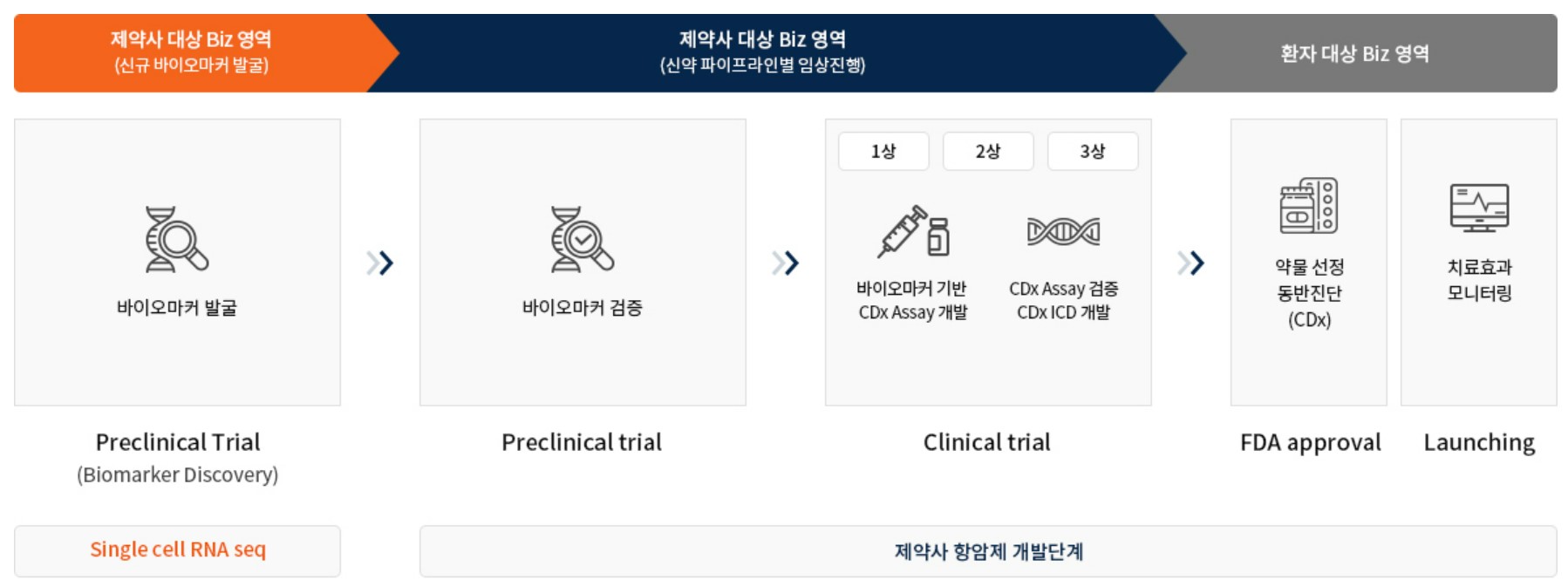 이미지: 신약 개발 과정에 따른 CDx 사업 내용
