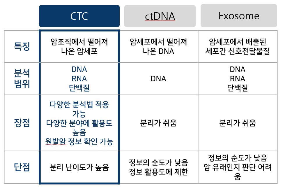 이미지: ctc의 특징 및 장단점