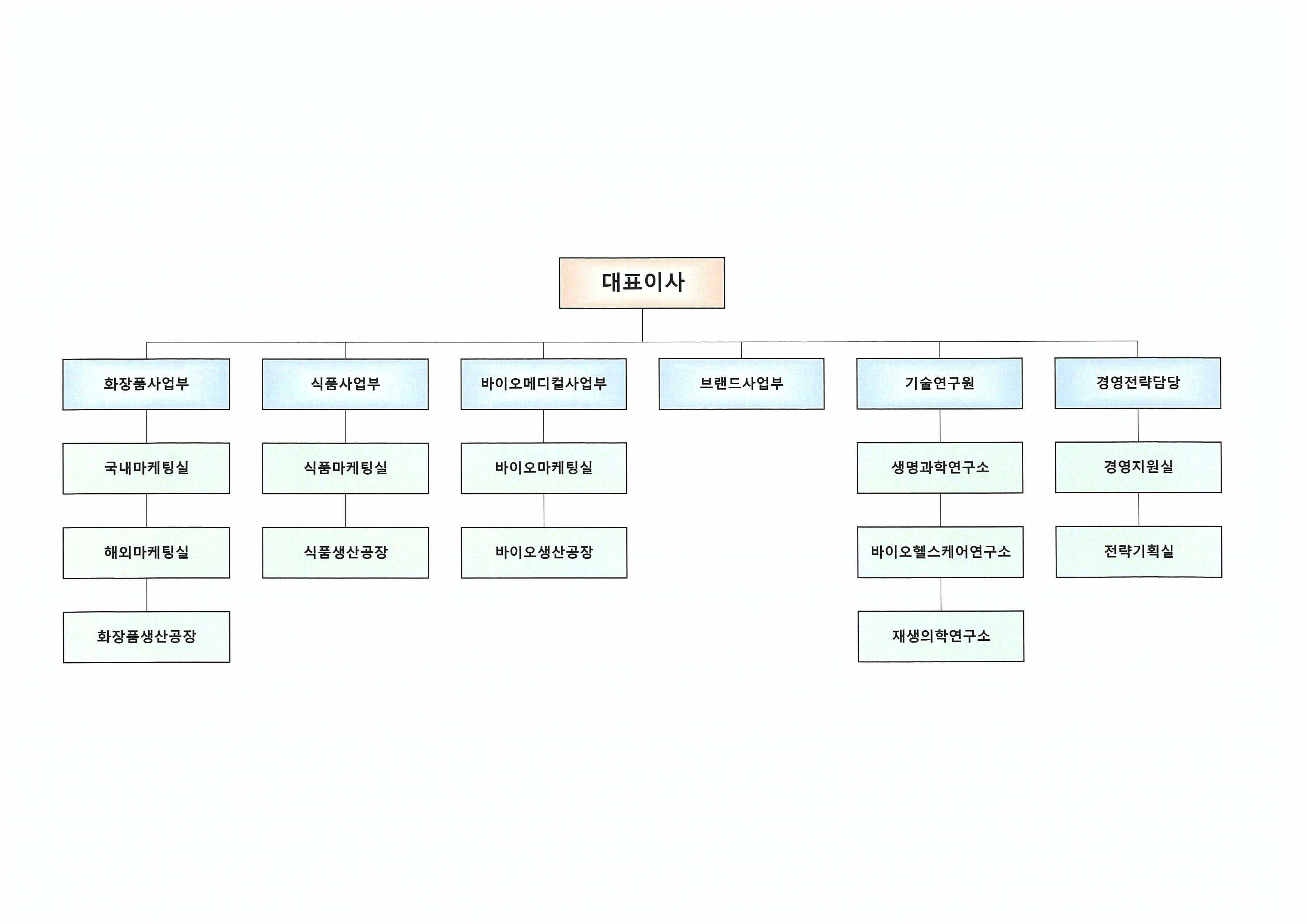 이미지: 조직도