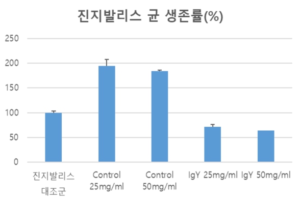 이미지: 진지발리스 균 생존률(%)