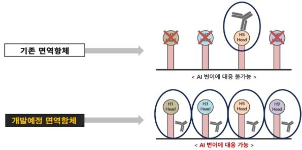 이미지: 특이 항체 작용기전