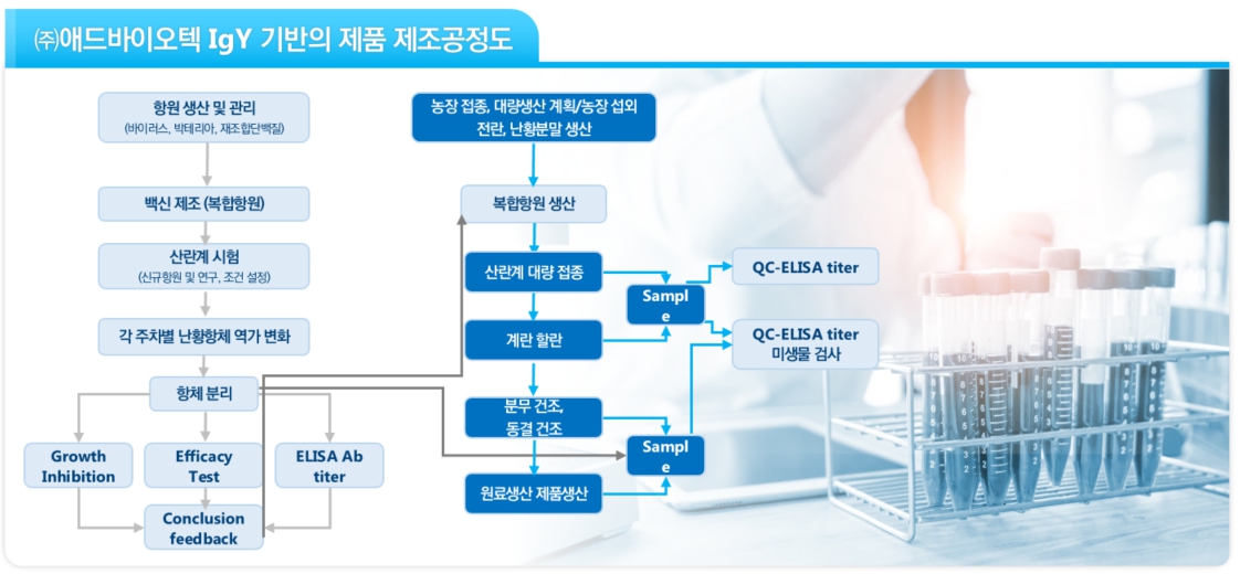 이미지: IgY 기반 제품 제조공정도