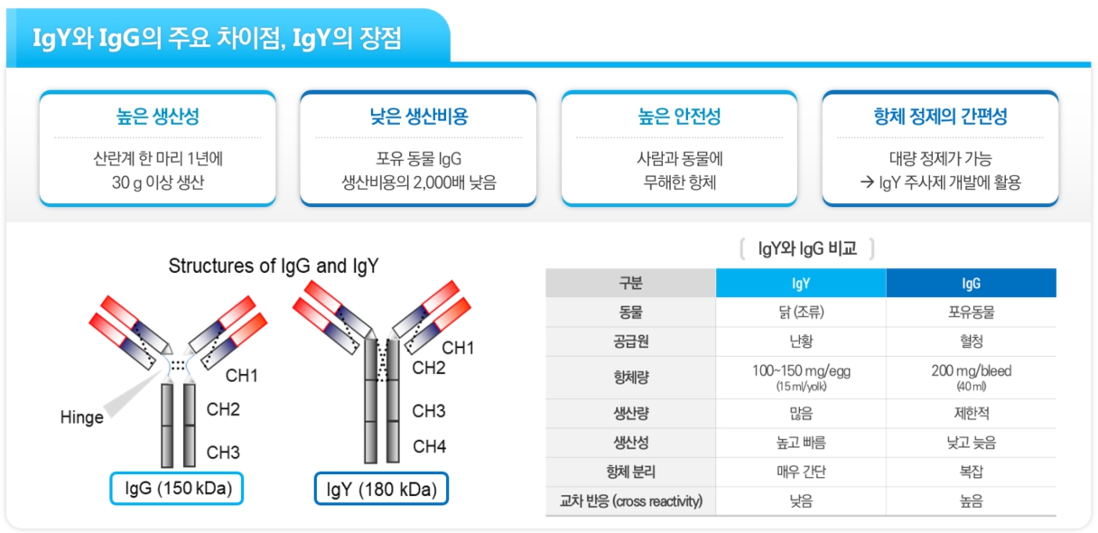 이미지: IgY 난황항체와 IgG 항체의 비교