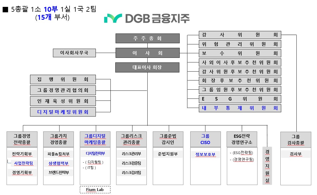 이미지: DGB금융지주 조직도