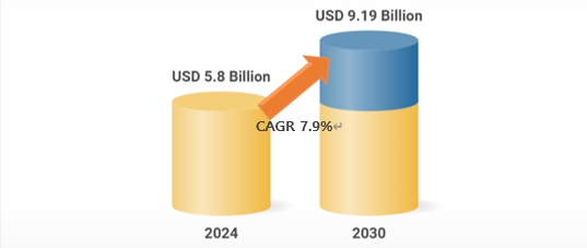 이미지: (자료 : Research and Markets, 2024)