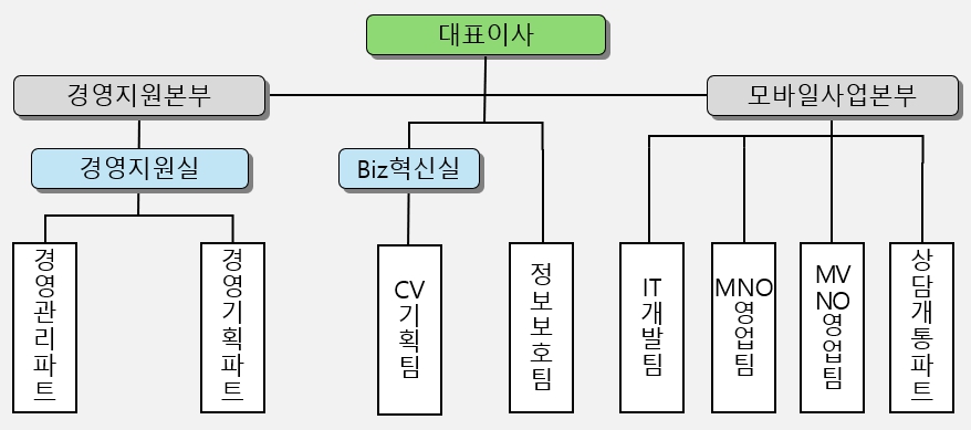 이미지: 아이즈비전 조직도