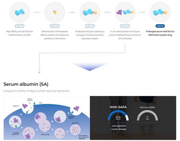 이미지: [SAFA 기술 개요도]