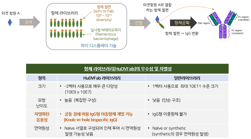 이미지: [항체 라이브러리(HuDVFab)의 우수성 및 차별성]