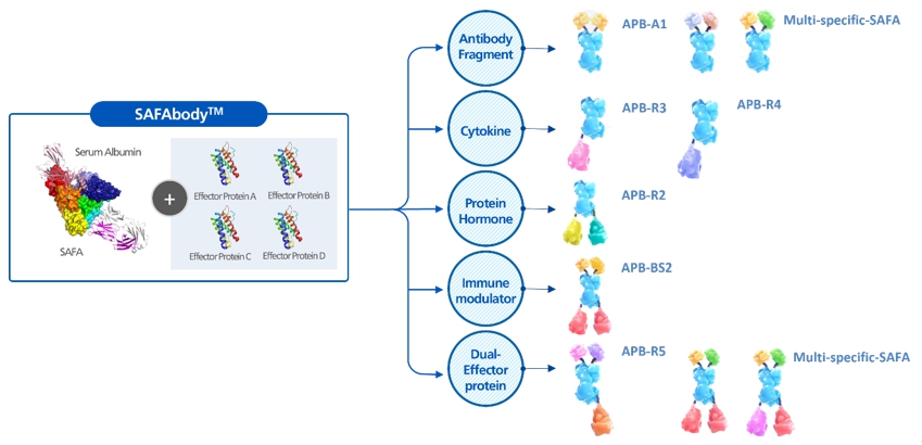 이미지: [SAFA 기술로 제작 가능한 신약 구조의 다양성 및 확장성]