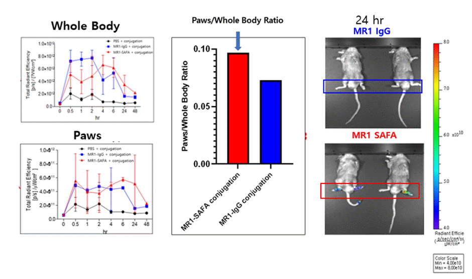 이미지: [SAFA 플랫폼의 수동적 표적화]