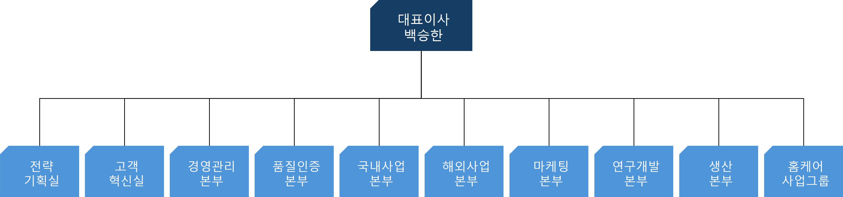 이미지: 조직도