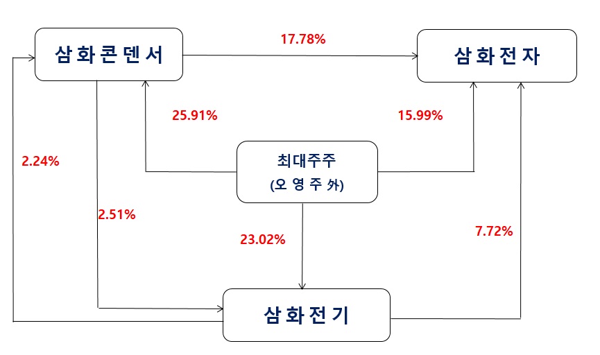 이미지: 그룹사 지배구조