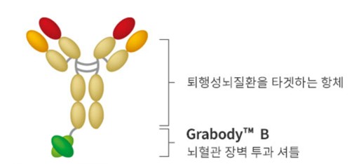 이미지: [에이비엘바이오의 그랩바디-B]