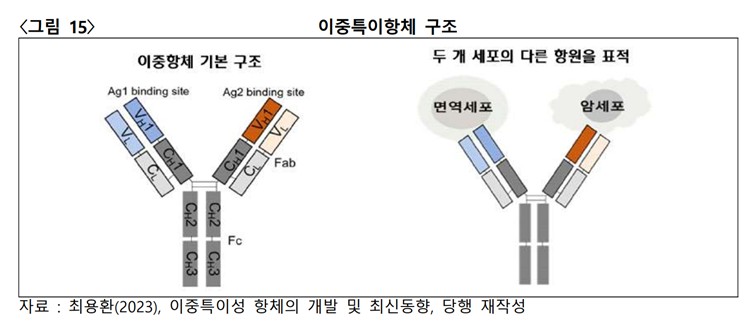 이미지: [이중항체의 구조]