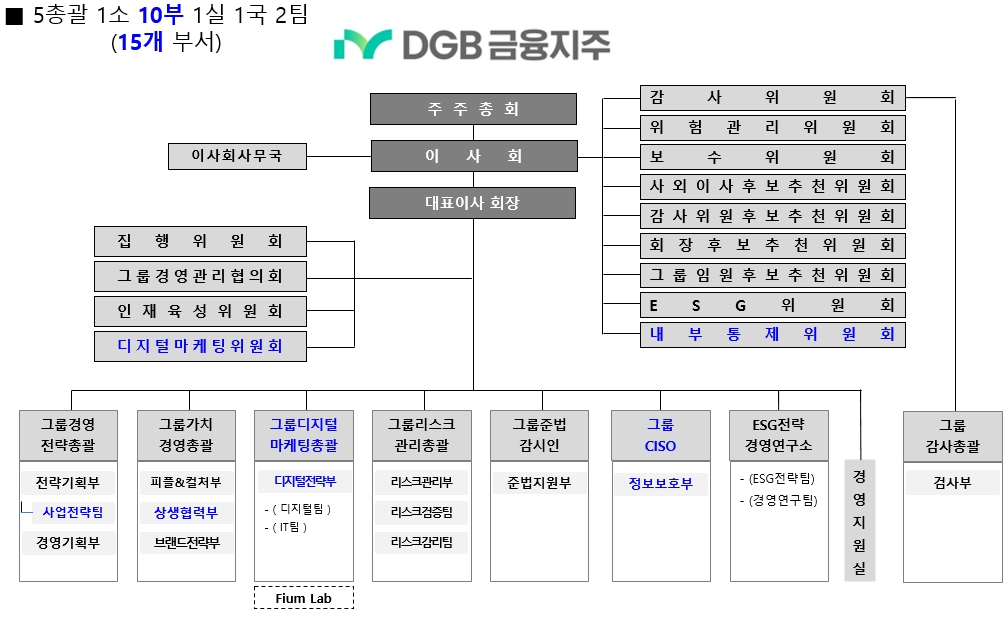 이미지: DGB금융지주 조직도