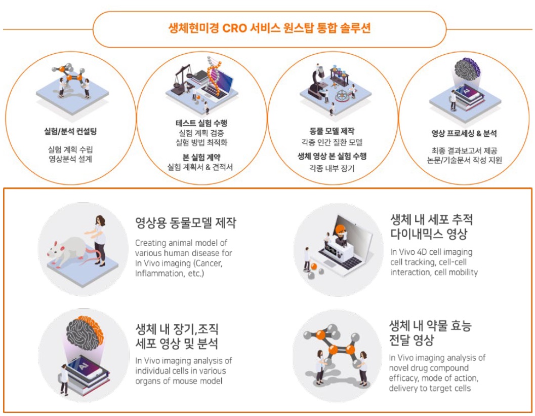 이미지: 생체현미경 기술을 이용한 실험, 분석 원스탑 토털 솔루션