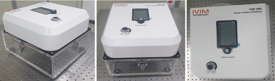 이미지: 셍체조직 움직임 안정화 시스템