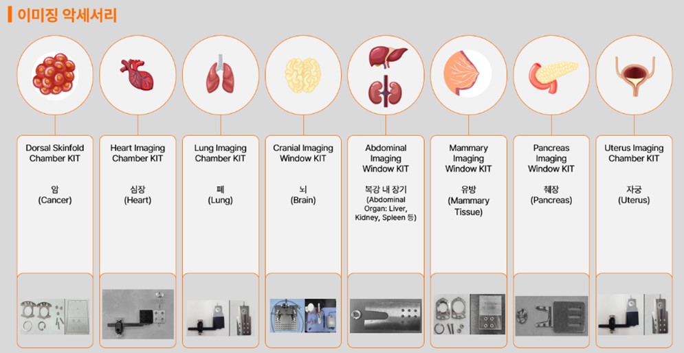 이미지: 최적화되어 있는 내부 장기 이미징 악세서리 종류