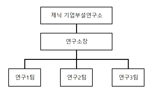 이미지: 240320_사업보고서_ 제닉 기업부설연구소 조직도