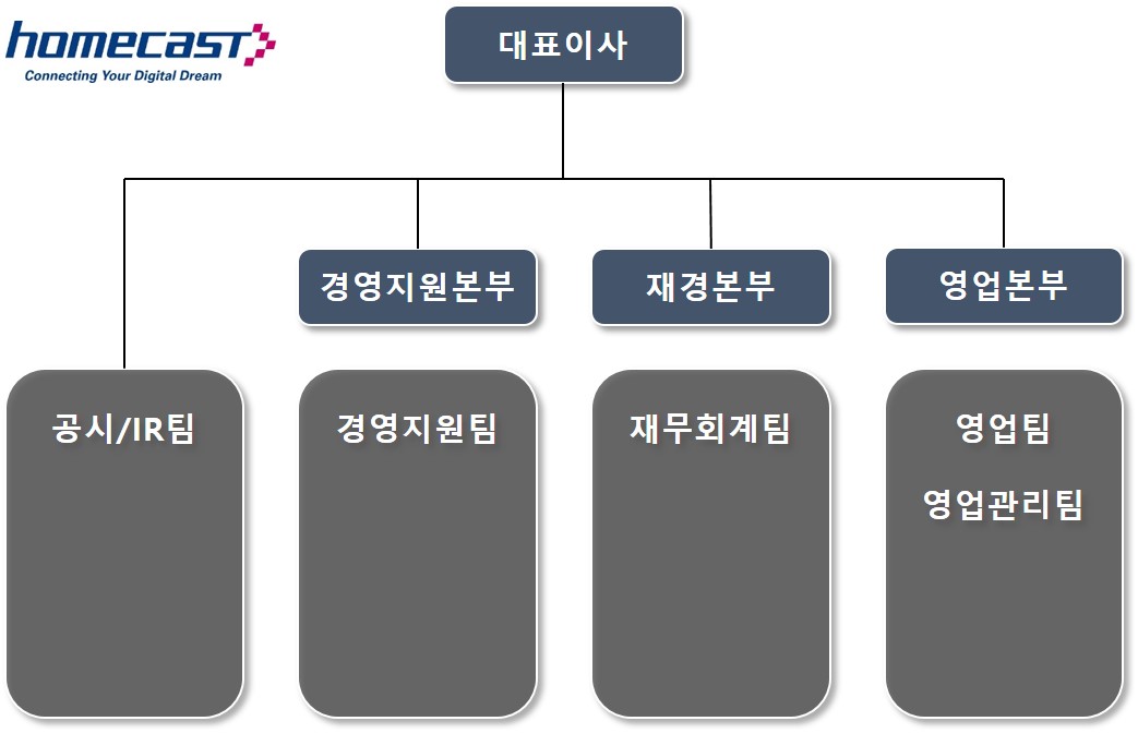 이미지: (주)홈캐스트 조직도
