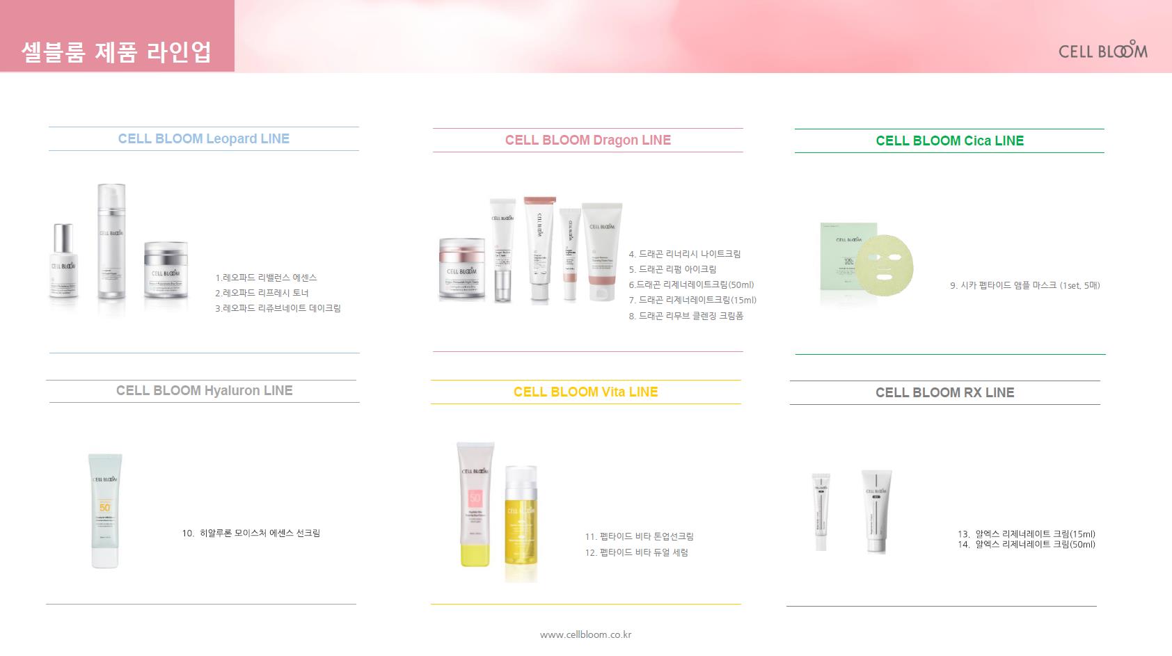 이미지: 셀블룸 제품 라인업