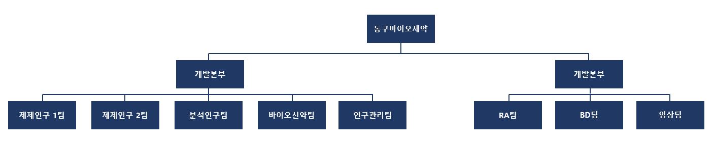 이미지: 연구개발 조직도