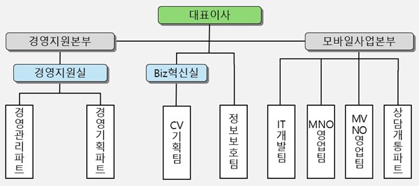 이미지: (주)아이즈비전 조직도