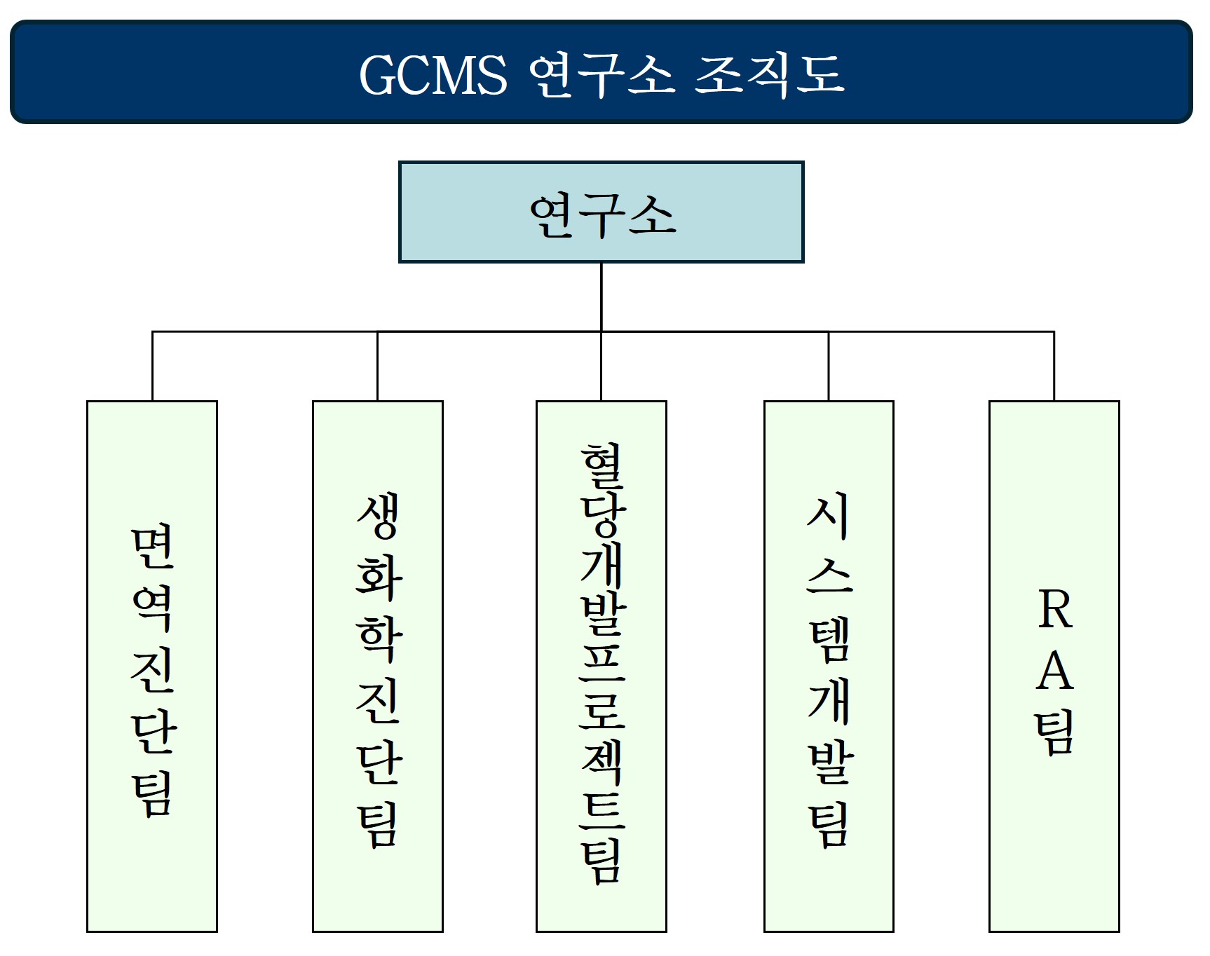 이미지: 연구소 조직도_2024.12.31