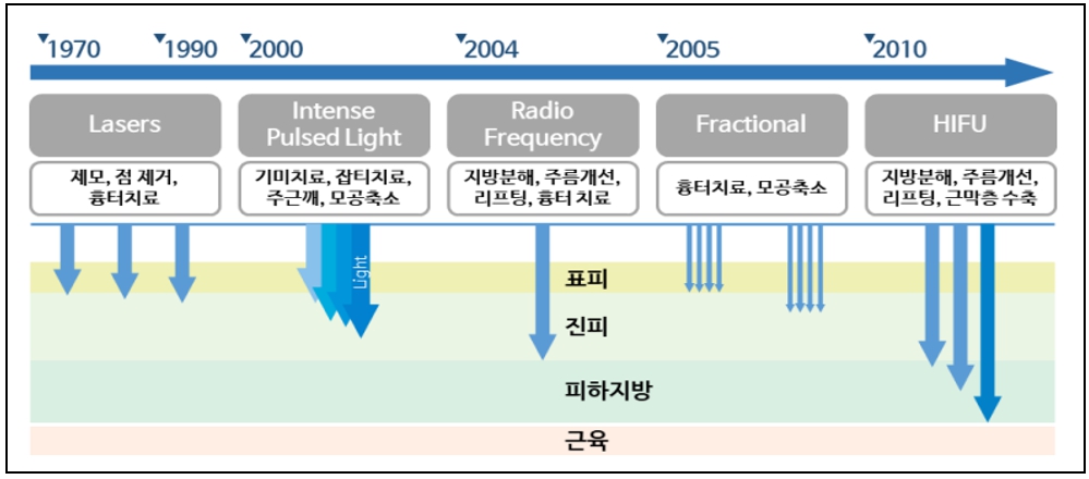이미지: [에너지원별 피부미용 이용 연혁 및 침투가능 피부층]