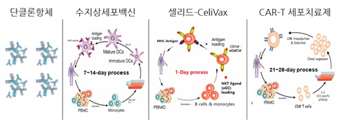 이미지: CeliVax 항암면역치료백신 제조의 경쟁력
