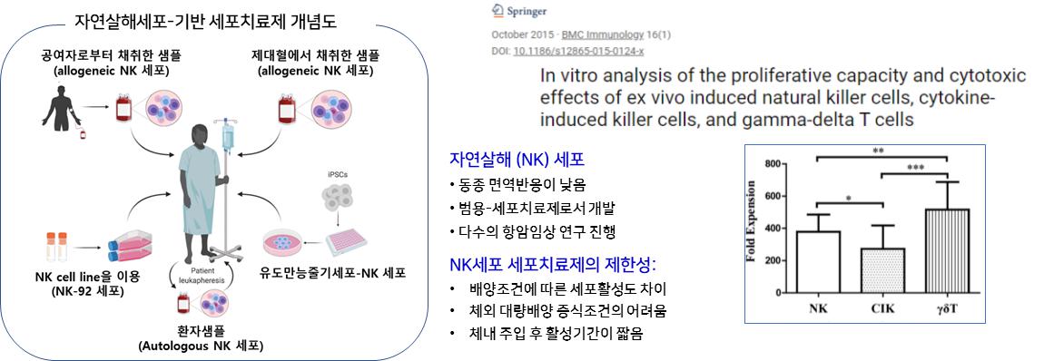 이미지: NK 세포치료제의 개념도 및 한계점