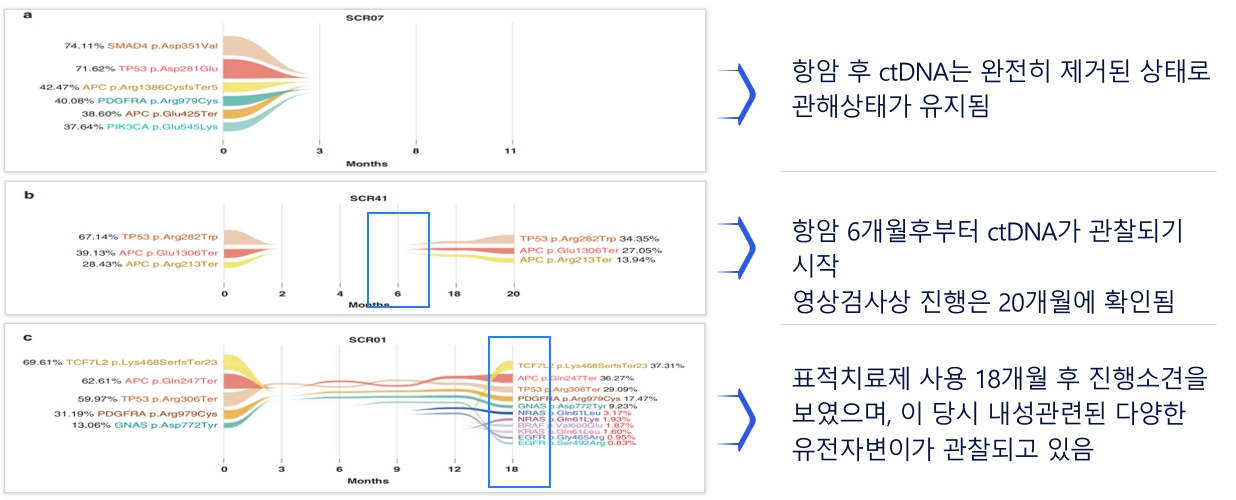 이미지: 항암치료 중 정확한 경과의 모니터링이 가능