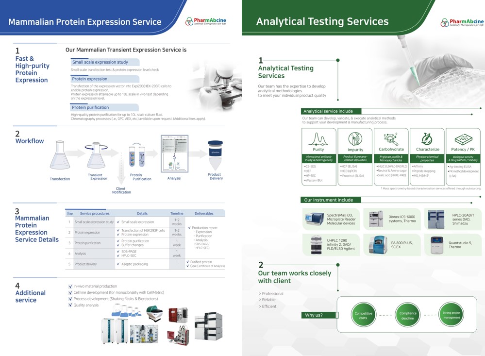 이미지: 항체 생산 및 분석서비스