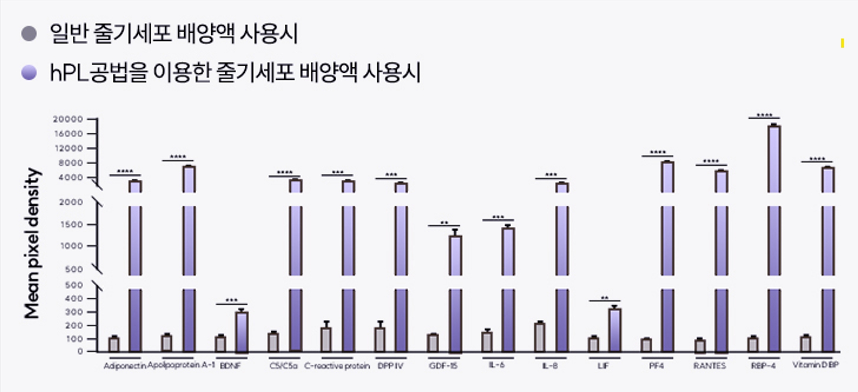이미지: 일반 줄기세포 배양액과 hPL공법 줄기세포 배양액 단백질 비교