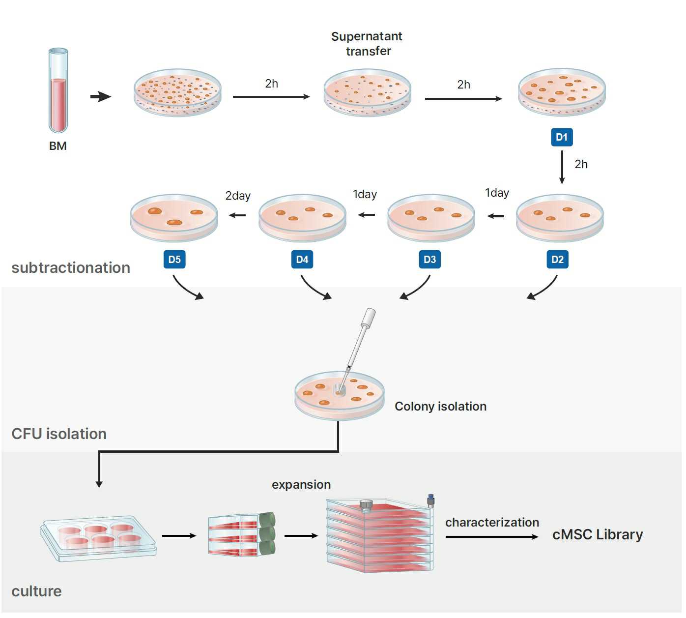 이미지: The schematic diagram of the SCM method