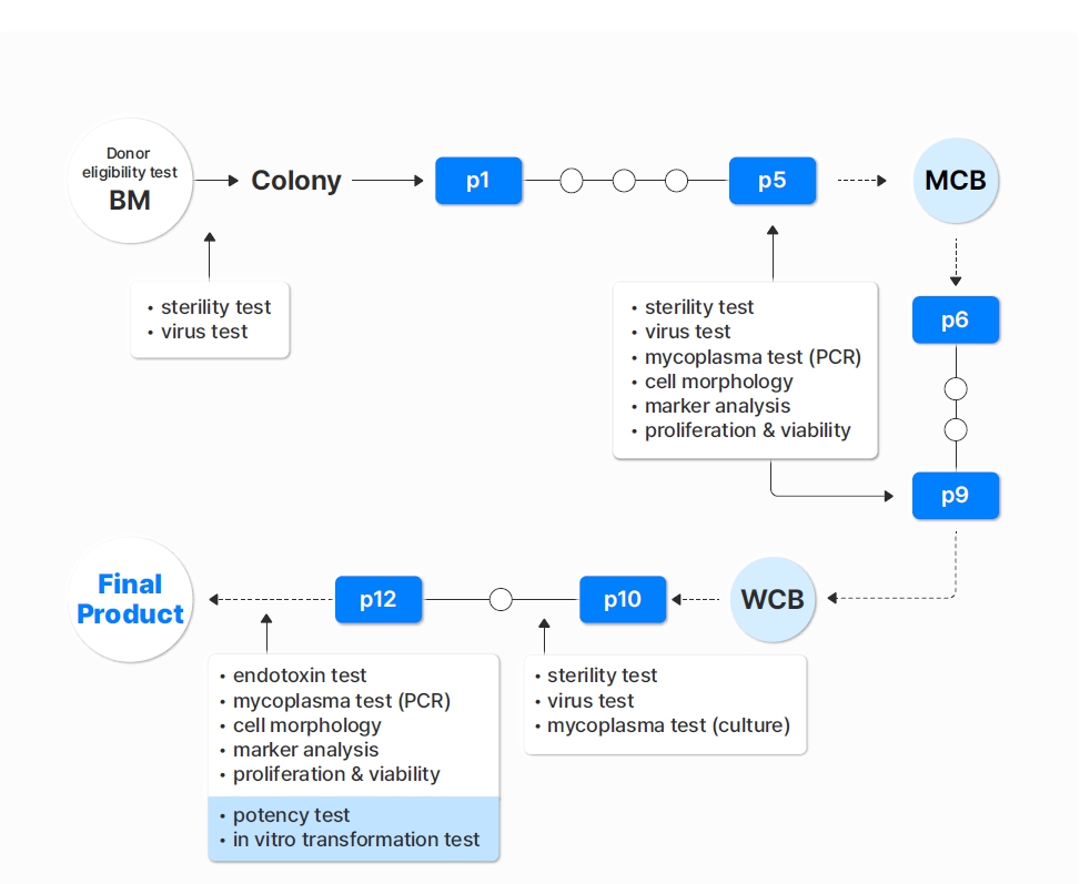 이미지: Schematic representation of clinical grade cMSCs production and quality control processes in a good manufacturing practice