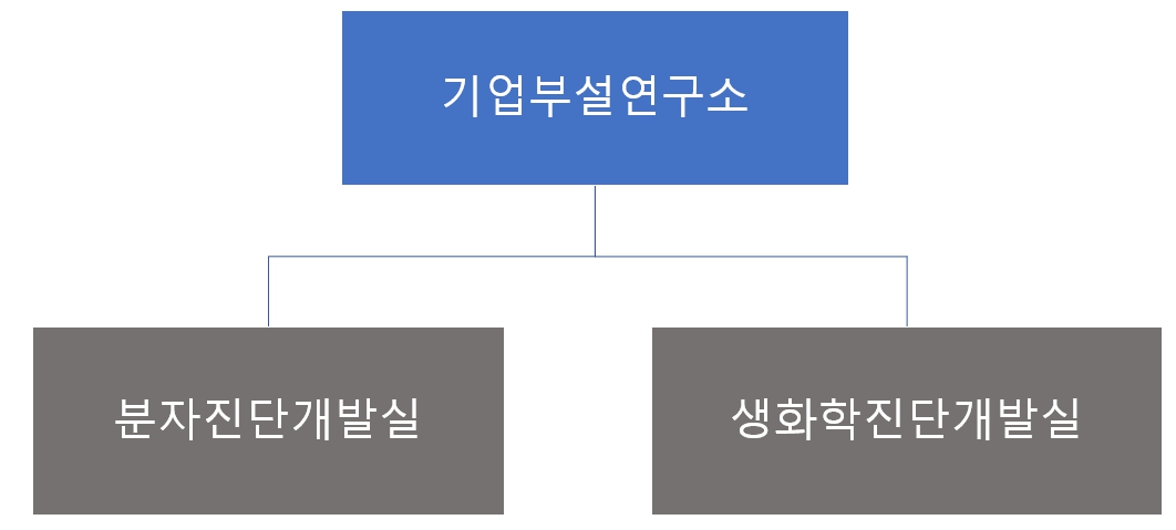 이미지: 기업부설연구소 조직도