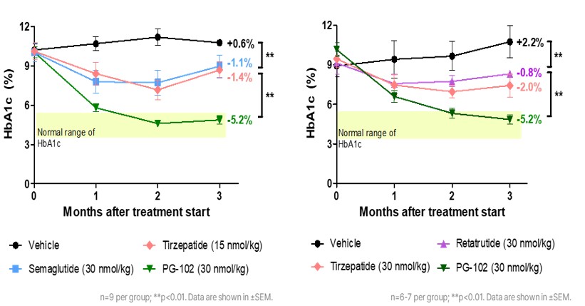 이미지: 단일 또는 이중,삼중 작용제 대비 pg-102의 우수한 혈당 조절 효과