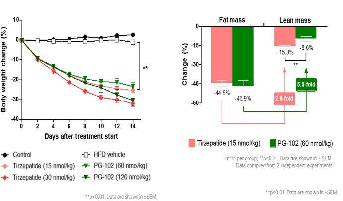 이미지: 터제파타이드 대비 PG-102의 우수한 지방 특이적 감소 효과