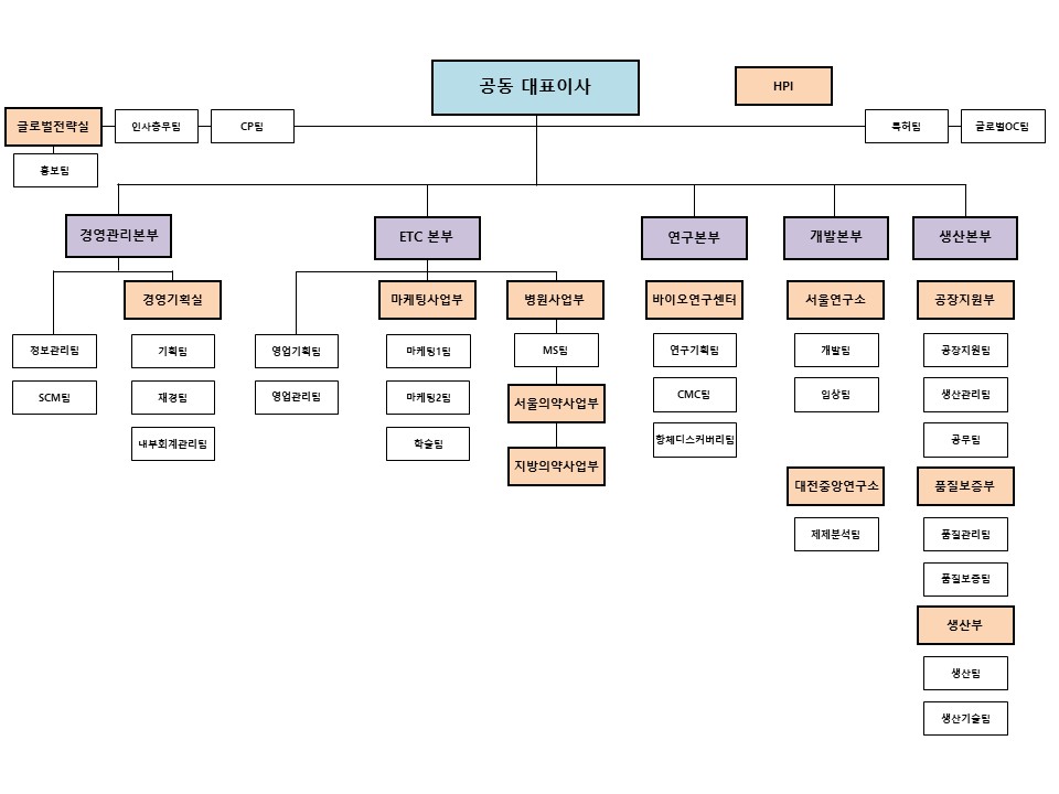 이미지: 한올바이오파마 조직도(24.12.31)