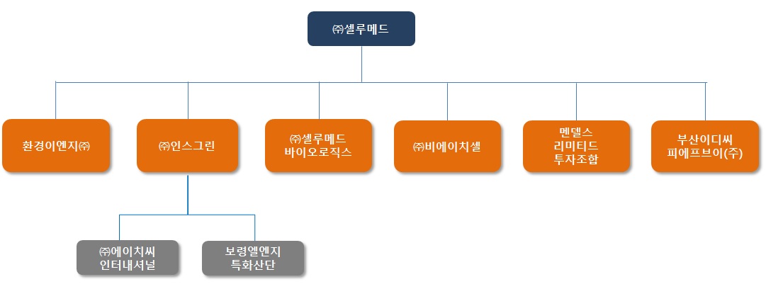 이미지: 계통도_계열회사 등에 관한 사항