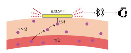 이미지: [그림 3] CGMS 구성요소