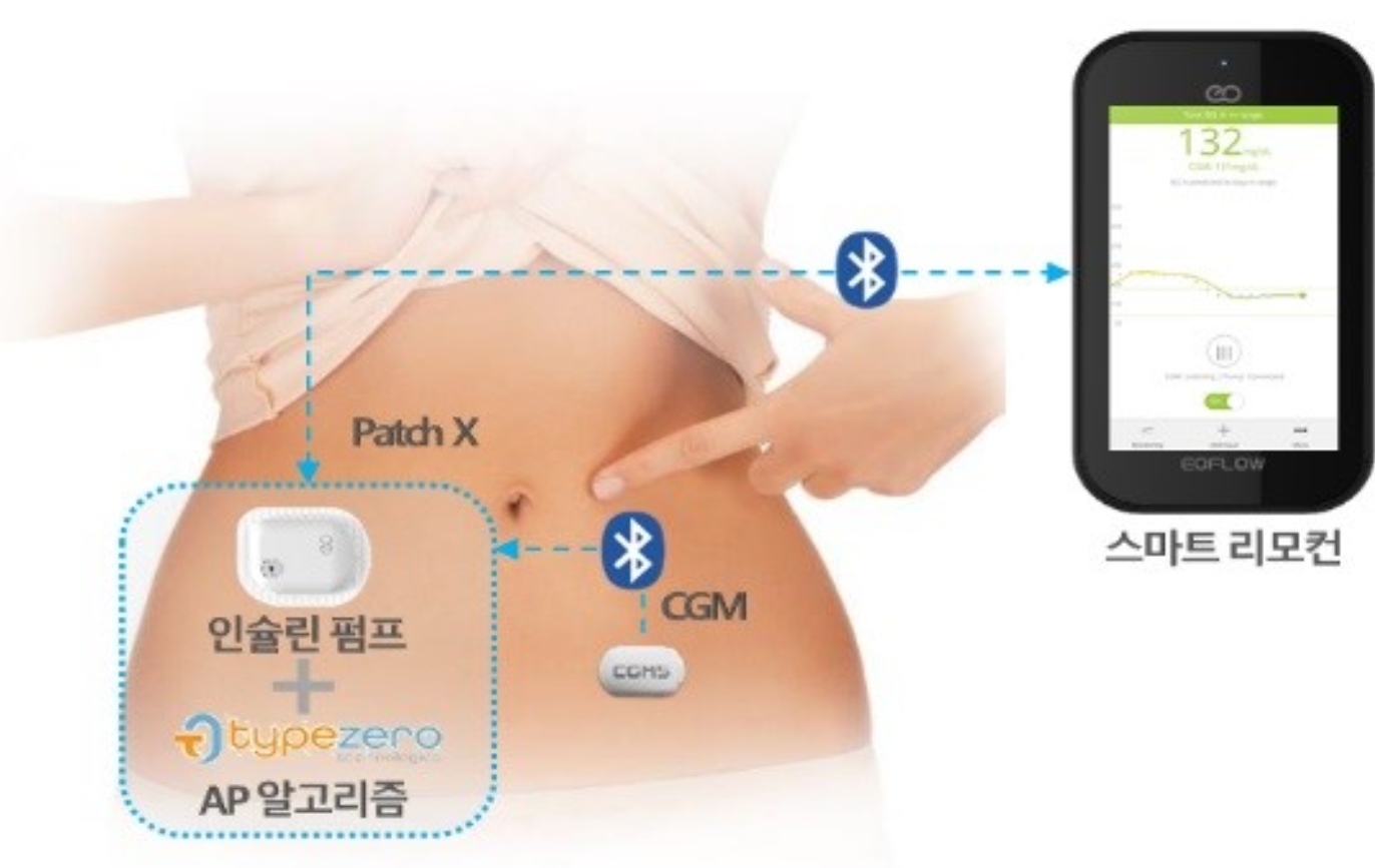 이미지: [EOPatchX 개념도]